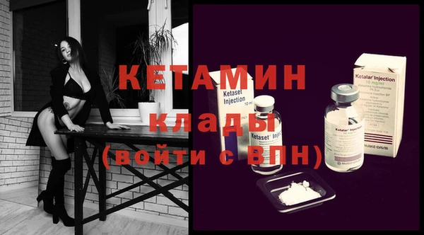 хмурый Аркадак