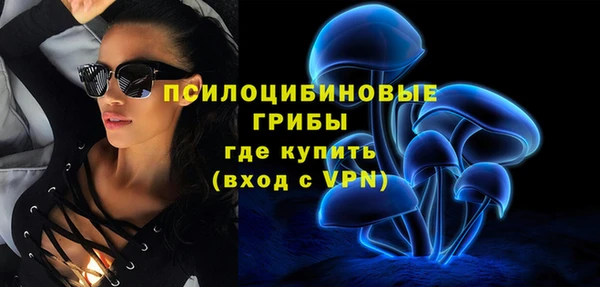сатива Армянск