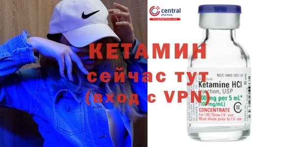 хмурый Аркадак
