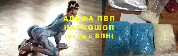 хмурый Аркадак