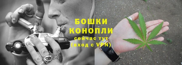 сатива Армянск