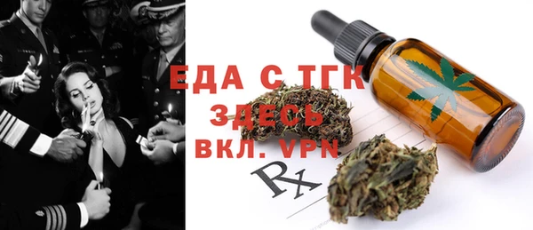 хмурый Аркадак