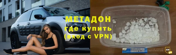 хмурый Аркадак