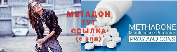 хмурый Аркадак