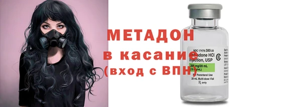 хмурый Аркадак
