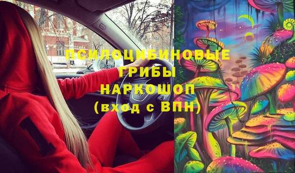 сатива Армянск