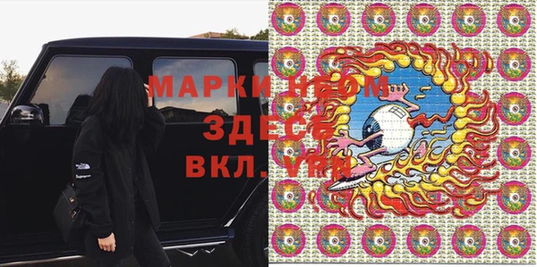 хмурый Аркадак