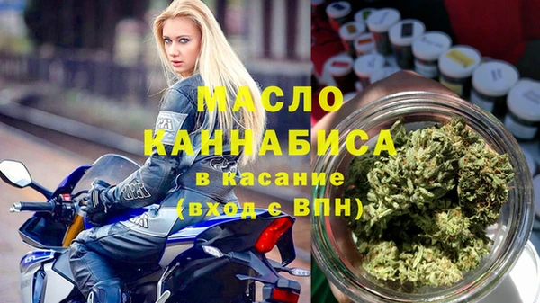 хмурый Аркадак