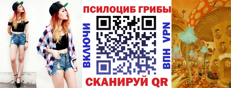 Псилоцибиновые грибы прущие грибы  Озёры 